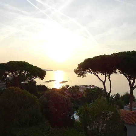 Sur Jardin Ou Sur Appartamento Cannes