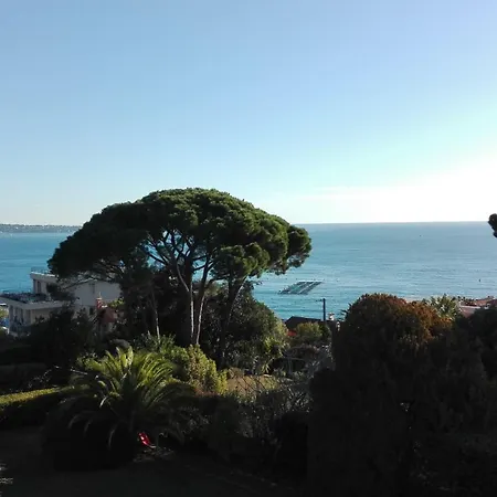 Sur Jardin Ou Sur Appartement